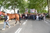 Immagine <b>REG_9515</b>